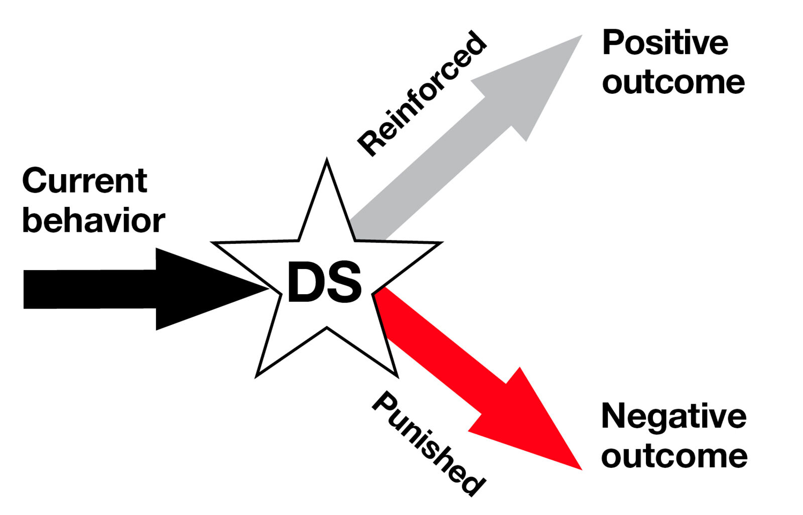 Figure 4. Operant response.