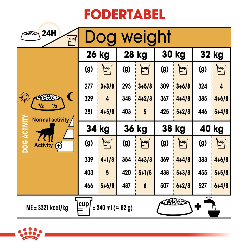 Labrador Retriever Sterilised