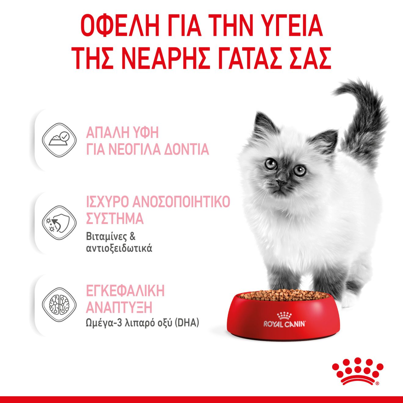 KITTEN Κομματάκια σε σάλτσα