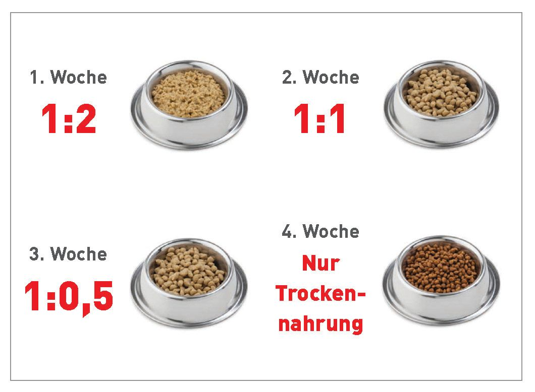 Die Abbildung zeigt das Verhältnis Wasser zu Trockenfutterkroketten (nach Volumen, nicht nach Gewicht) für die Rehydrierung von Trockennahrung