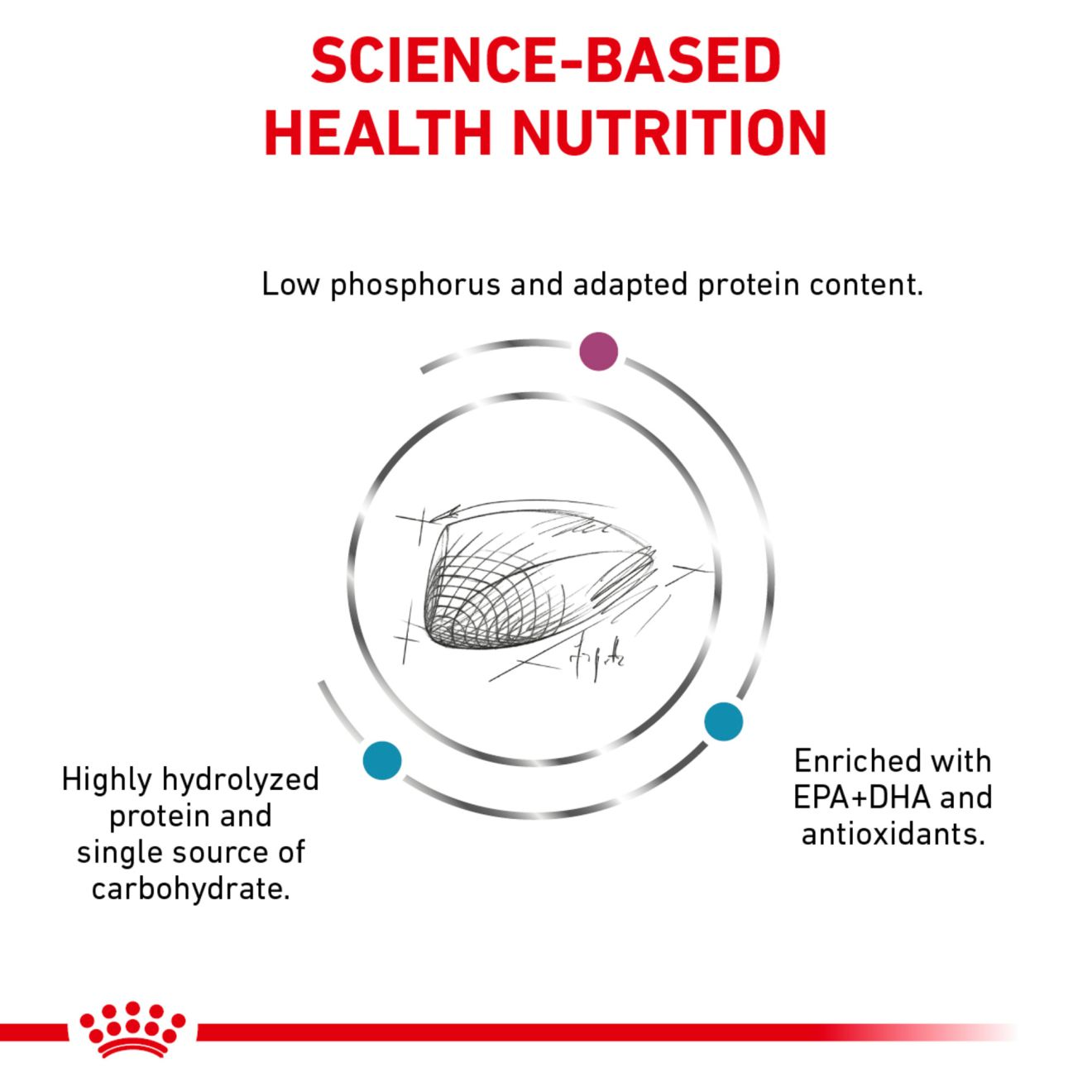 Royal canin hydrolyzed hot sale protein renal support