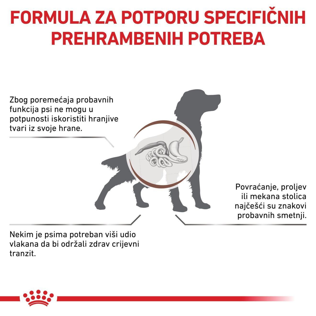 GASTROINTESTINAL HIGH FIBRE