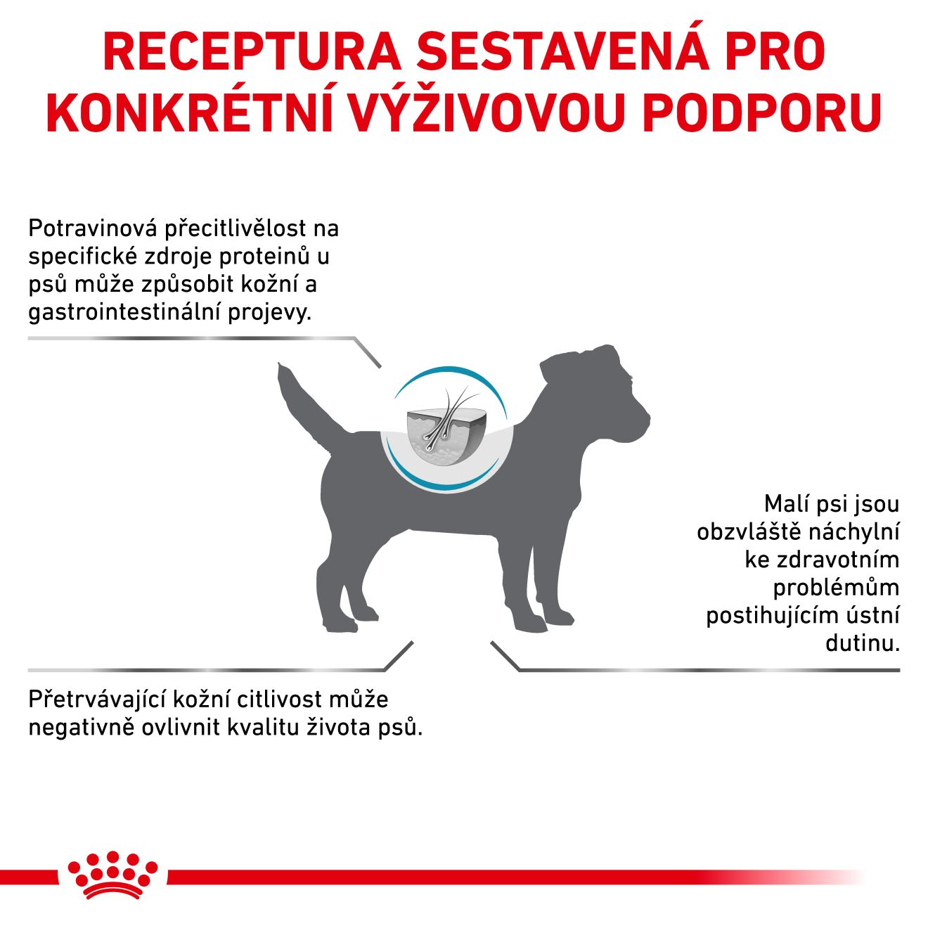 VHN Dog Anallergenic Small Dog 