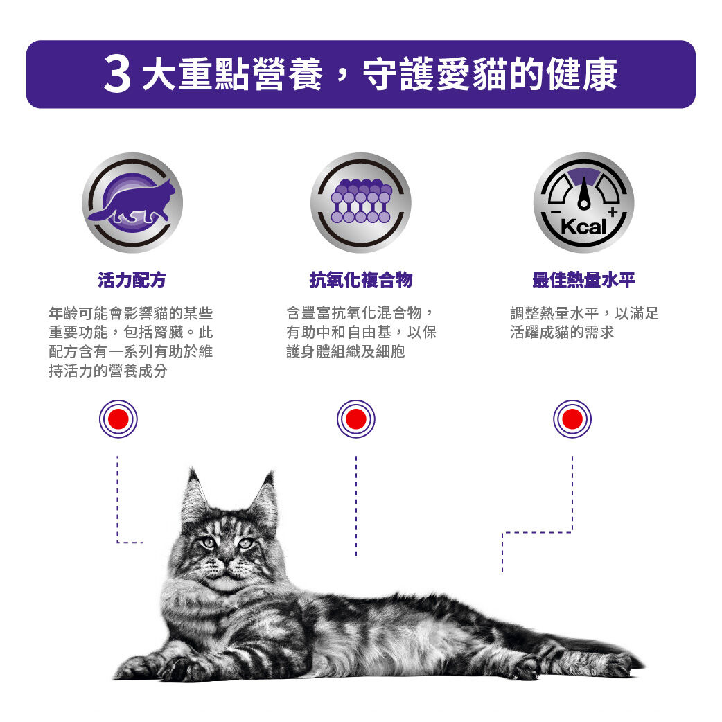 老貓高效營養健康管理袋裝濕糧（肉汁）