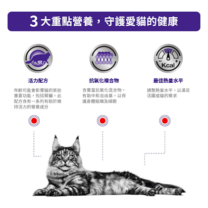 老貓高效營養健康管理袋裝濕糧（肉汁）_方_2