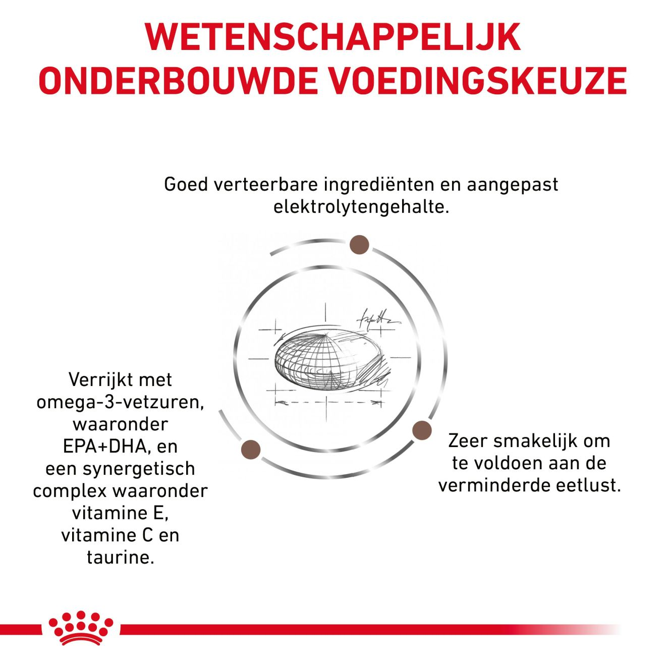 Gastrointestinal Moderate Calorie