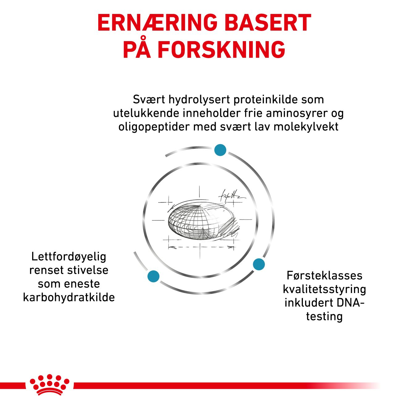 Derma Anallergenic Small Dog