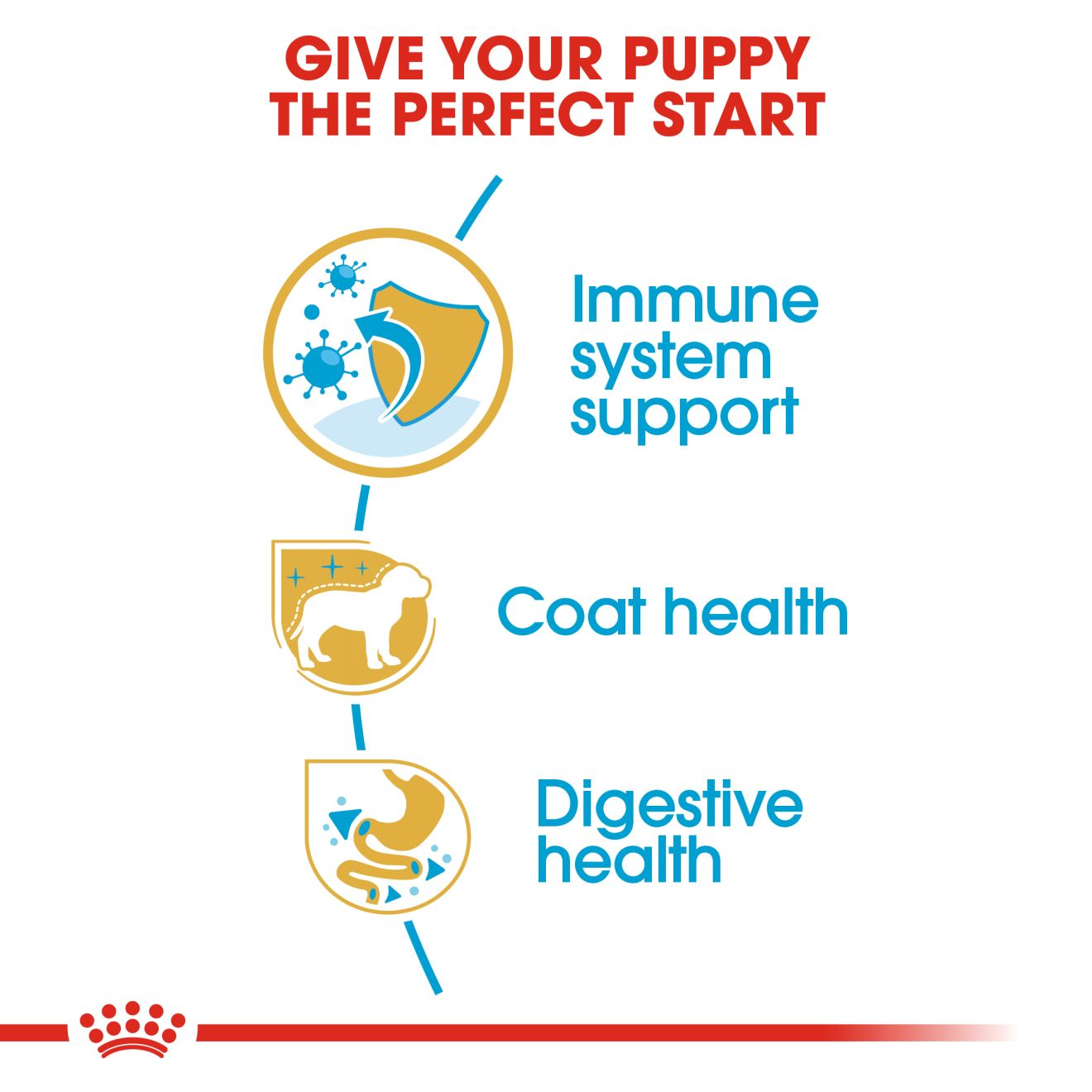 Royal canin poodle on sale puppy