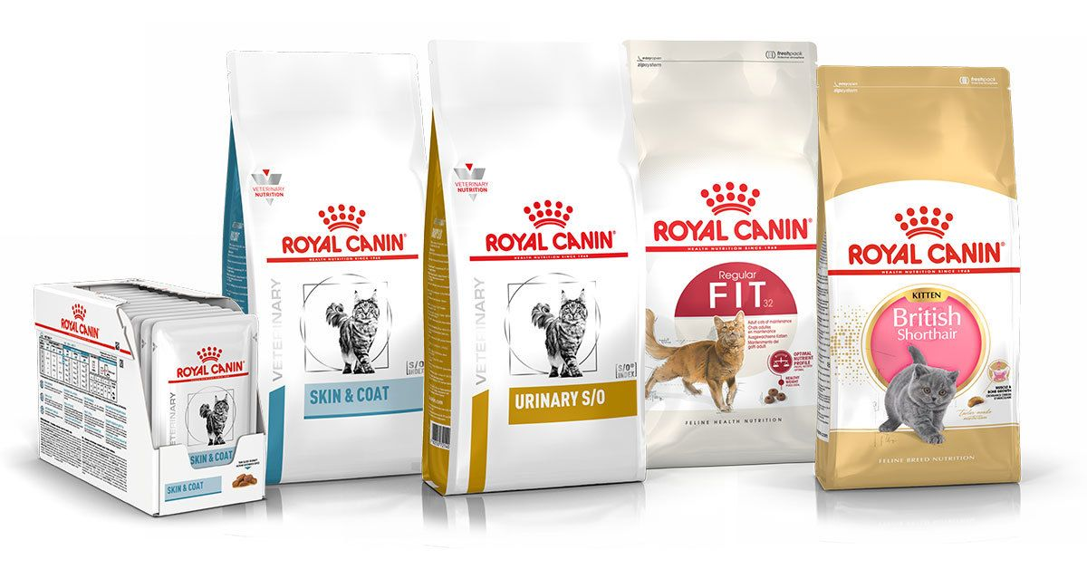 cats products Royal Canin