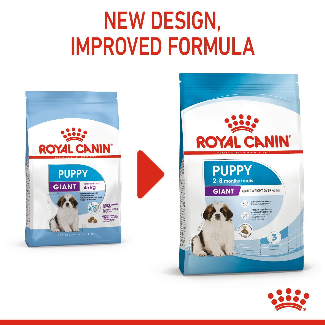 Royal canin giant starter hotsell feeding guide