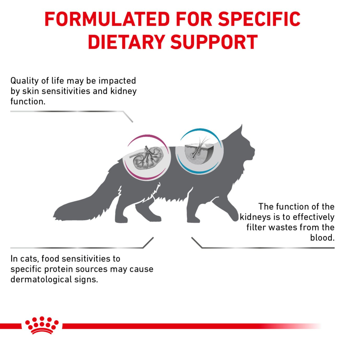 Feline Renal Support + Hydrolyzed Protein