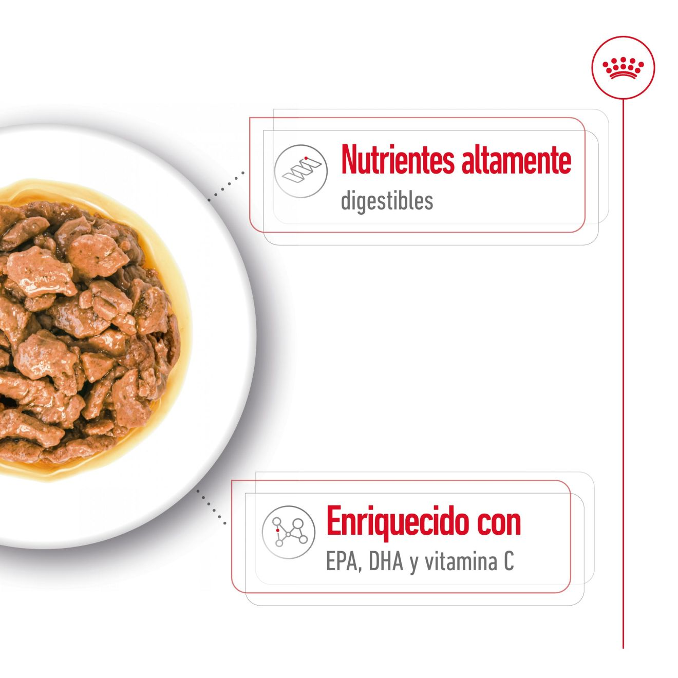 X-Small Adult- Morsels in Gravy