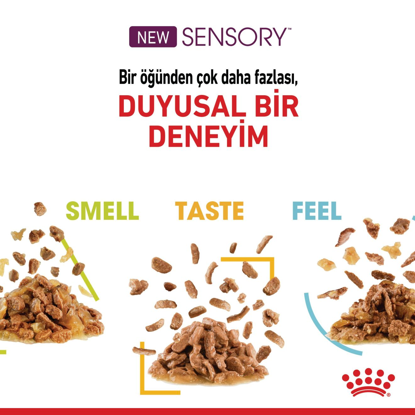 Sensory Multipack