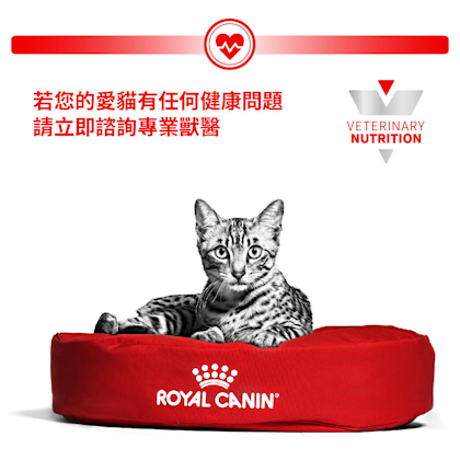 老貓高效營養健康管理袋裝濕糧（肉汁）_方_5