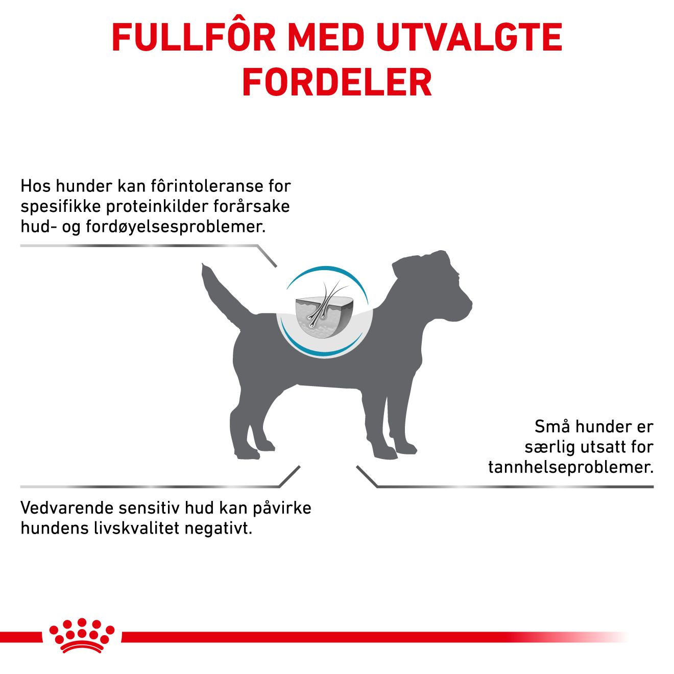 Derma Anallergenic Small Dog