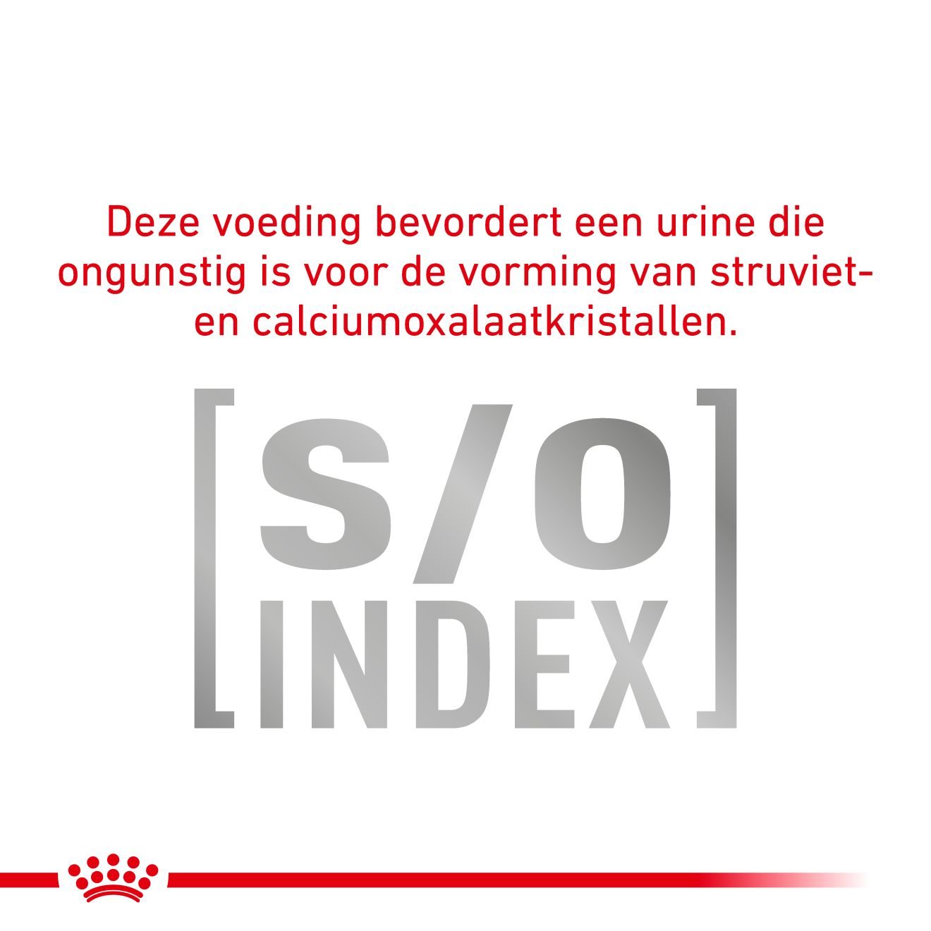 Satiety Weight Management 