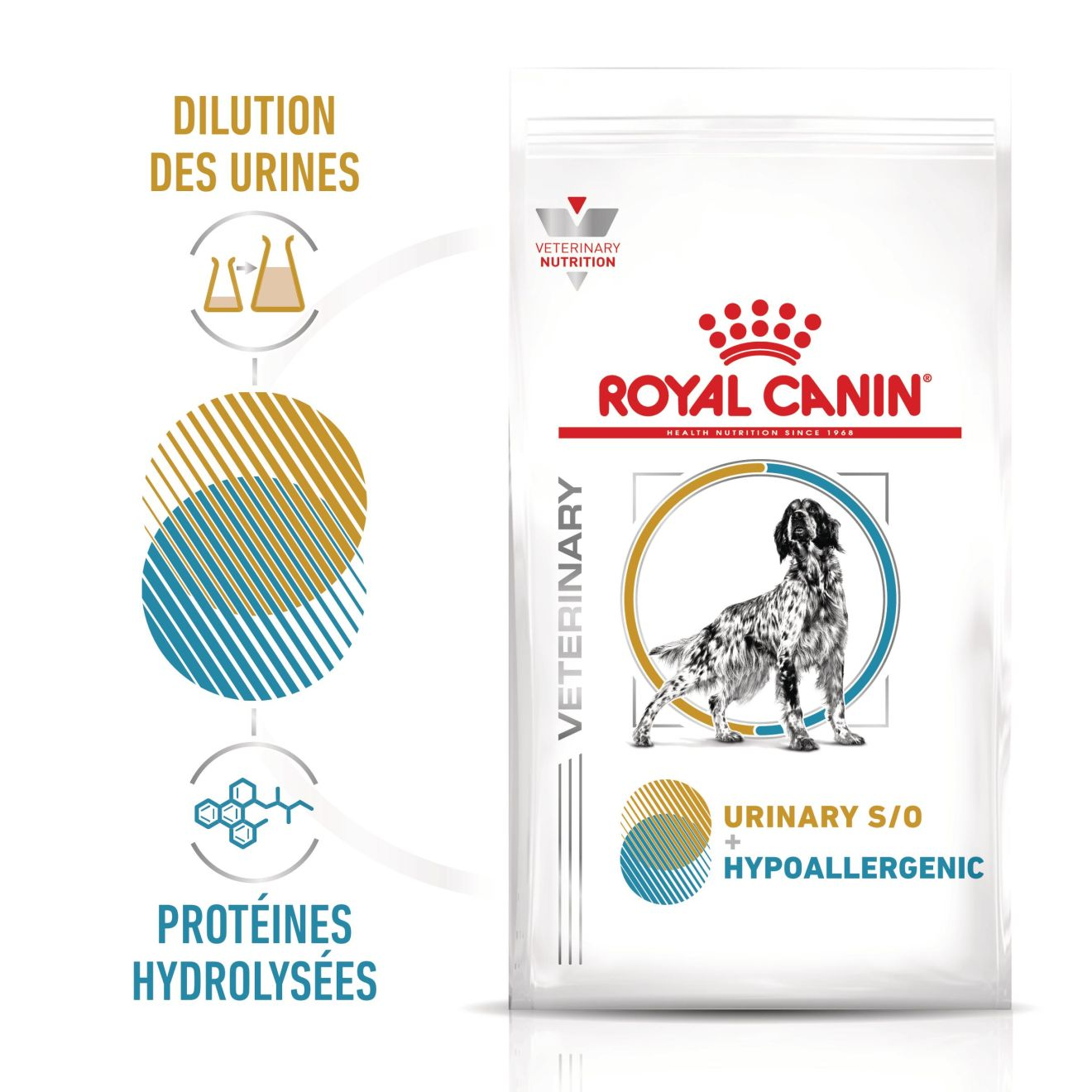 Urinary S/O + Hypoallergenic Chien 