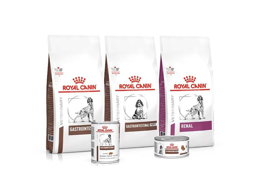 canine vet products