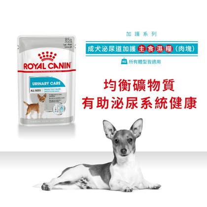 Royal-Canin_成犬泌尿道加護主食濕糧（肉塊）_正方形_HK_01