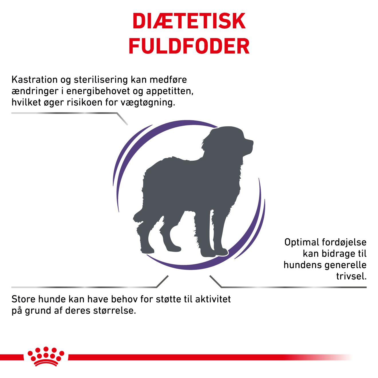 Health Neutered Adult Large Dog