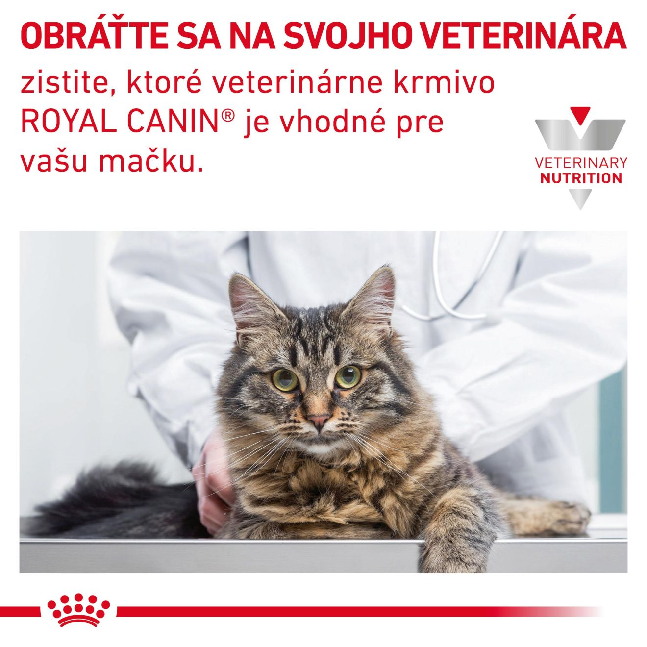 ROYAL CANIN CAT GASTROINTESTINAL MODERATE CALORIE granule pre mačky so sklonmi k nadváhe trpiacej ochorením tráviaceho traktu