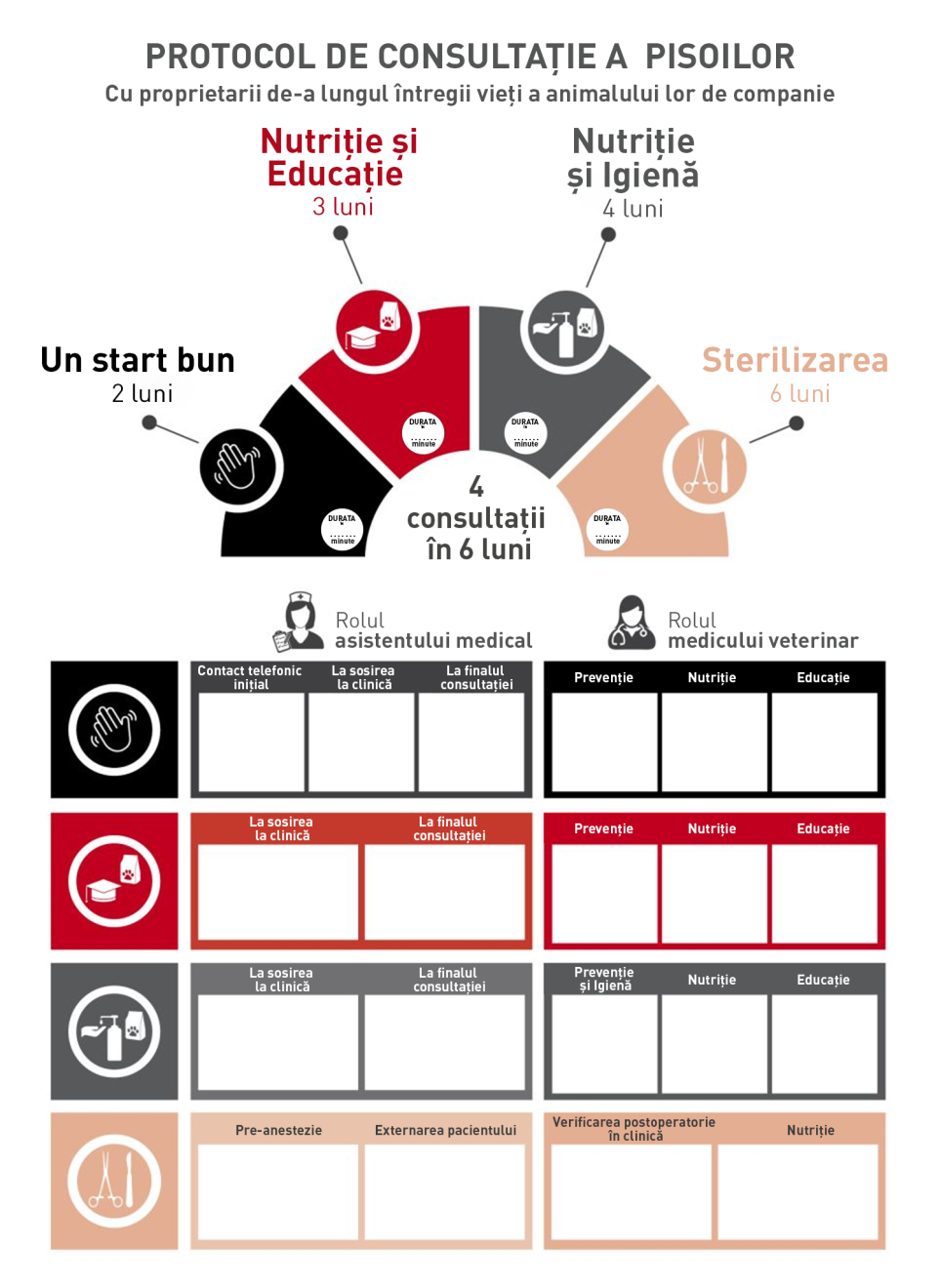 Un infografic poate fi o modalitate excelentă de a rezuma protocoalele și de a încuraja echipa să le urmeze.