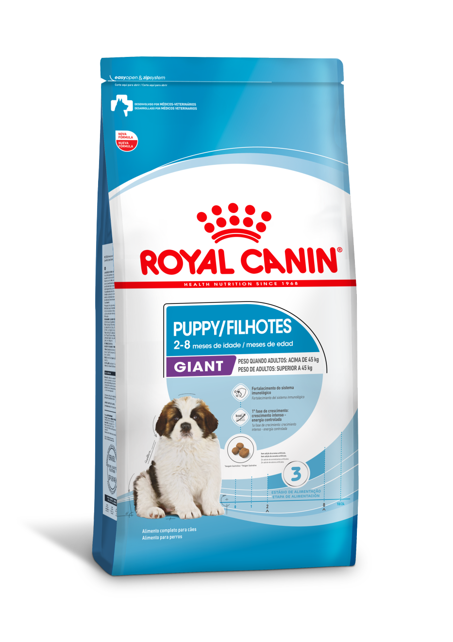 Giant Filhotes / Puppy