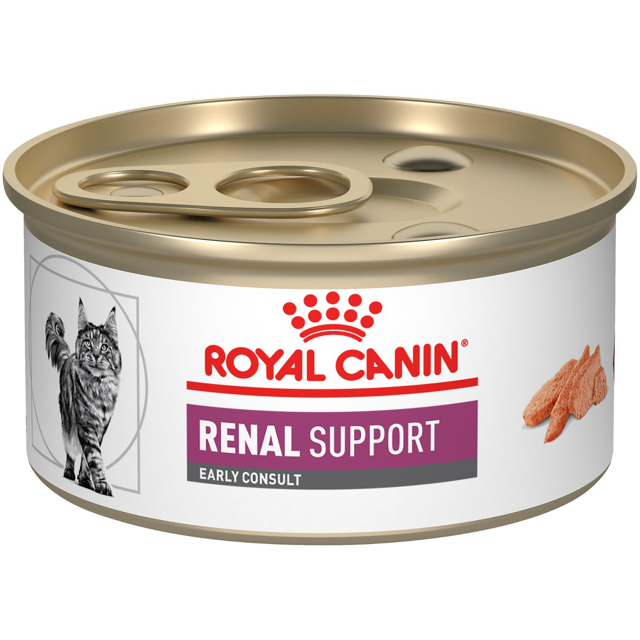 Best non prescription canned cat food for kidney disease sale