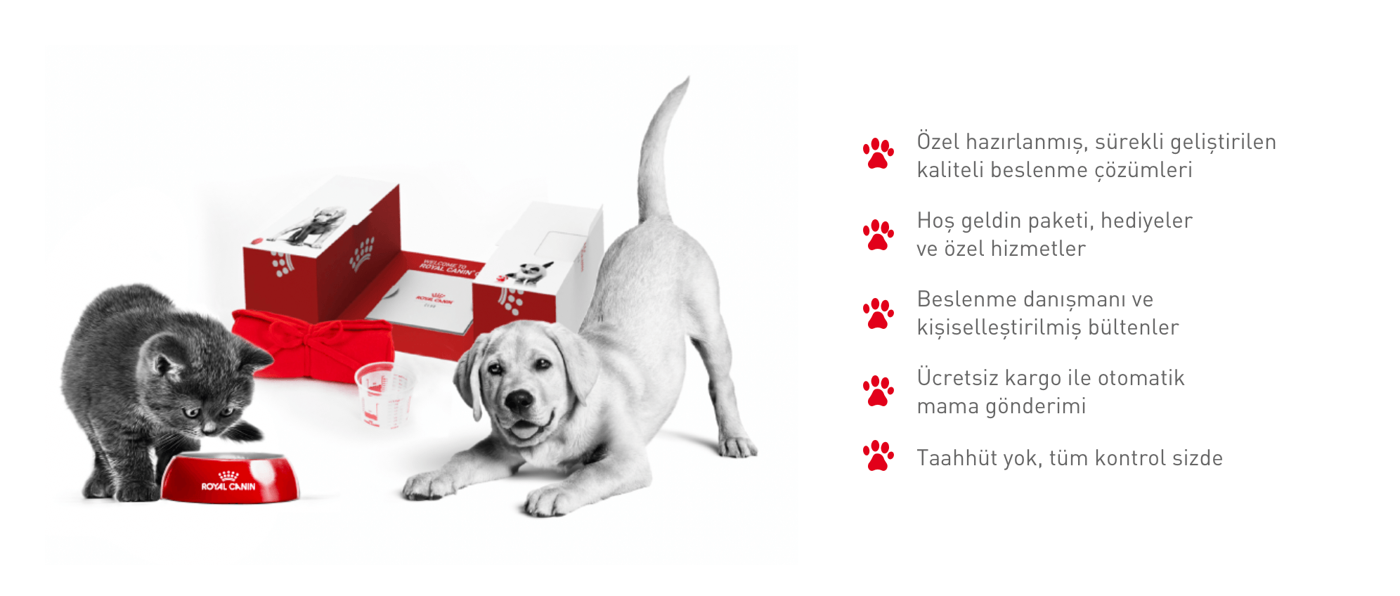 Kedi ve Köpekler İçin Sağlıklı Beslenme | Royal Canin