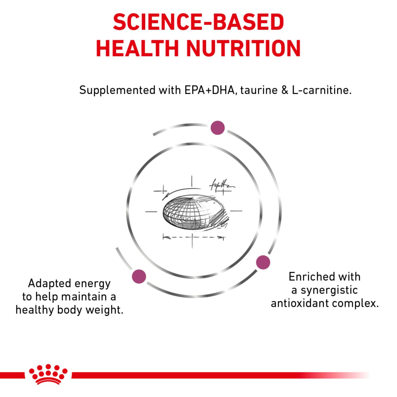 Royal canin outlet early cardiac canned