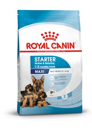 ROYAL CANIN Maxi Starter Mother&Babydog karma sucha dla suk w ciąży i okresie laktacji oraz szczeniąt, od 4 do 8 tygodnia życia, ras dużych 