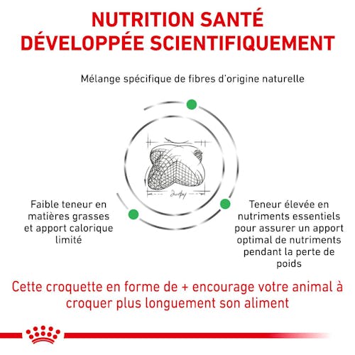 Satiety Weight Management