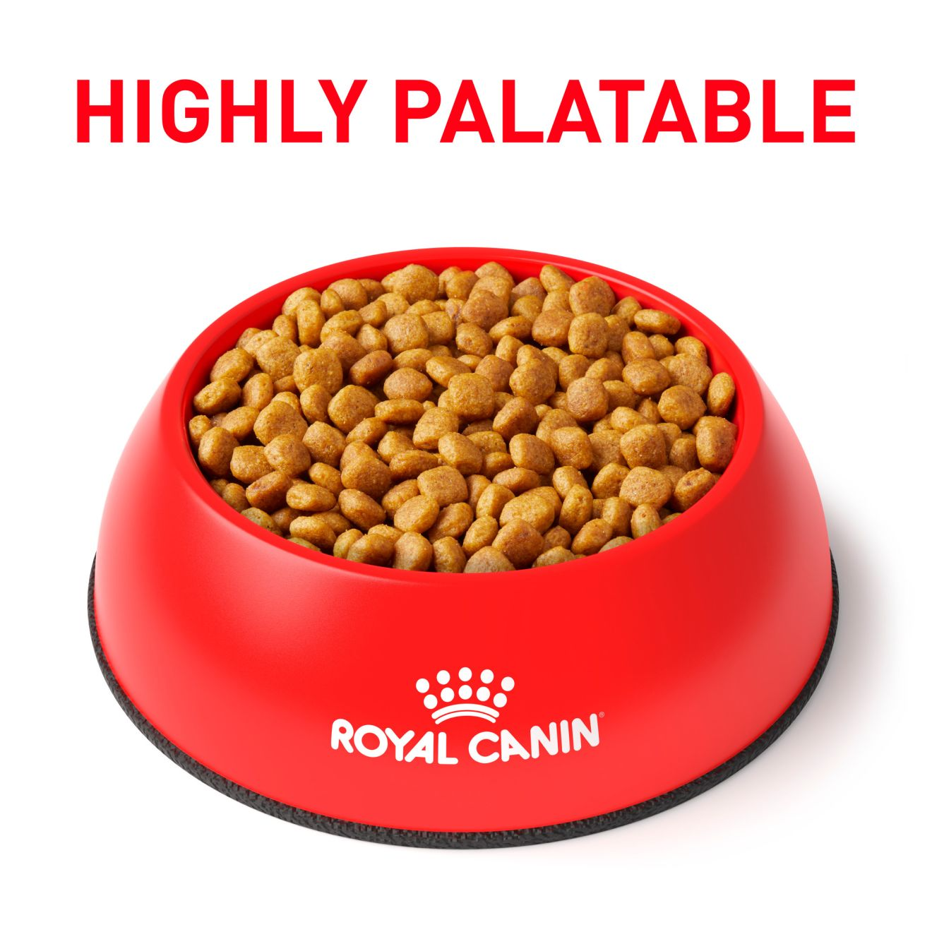 Royal canin so dog hotsell food ingredients