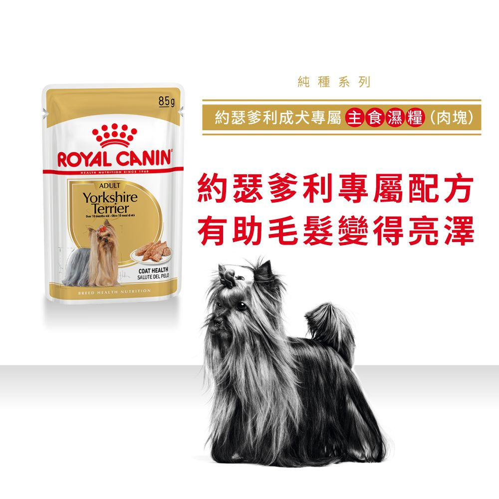 BHN 約瑟爹利成犬專屬主食濕糧（肉塊）