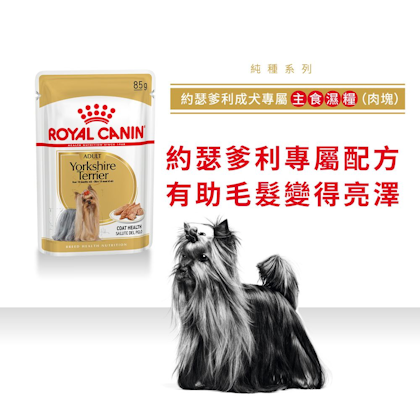 Royal-Canin_約瑟爹利成犬專屬主食濕糧（肉塊）_正方形_HK_01