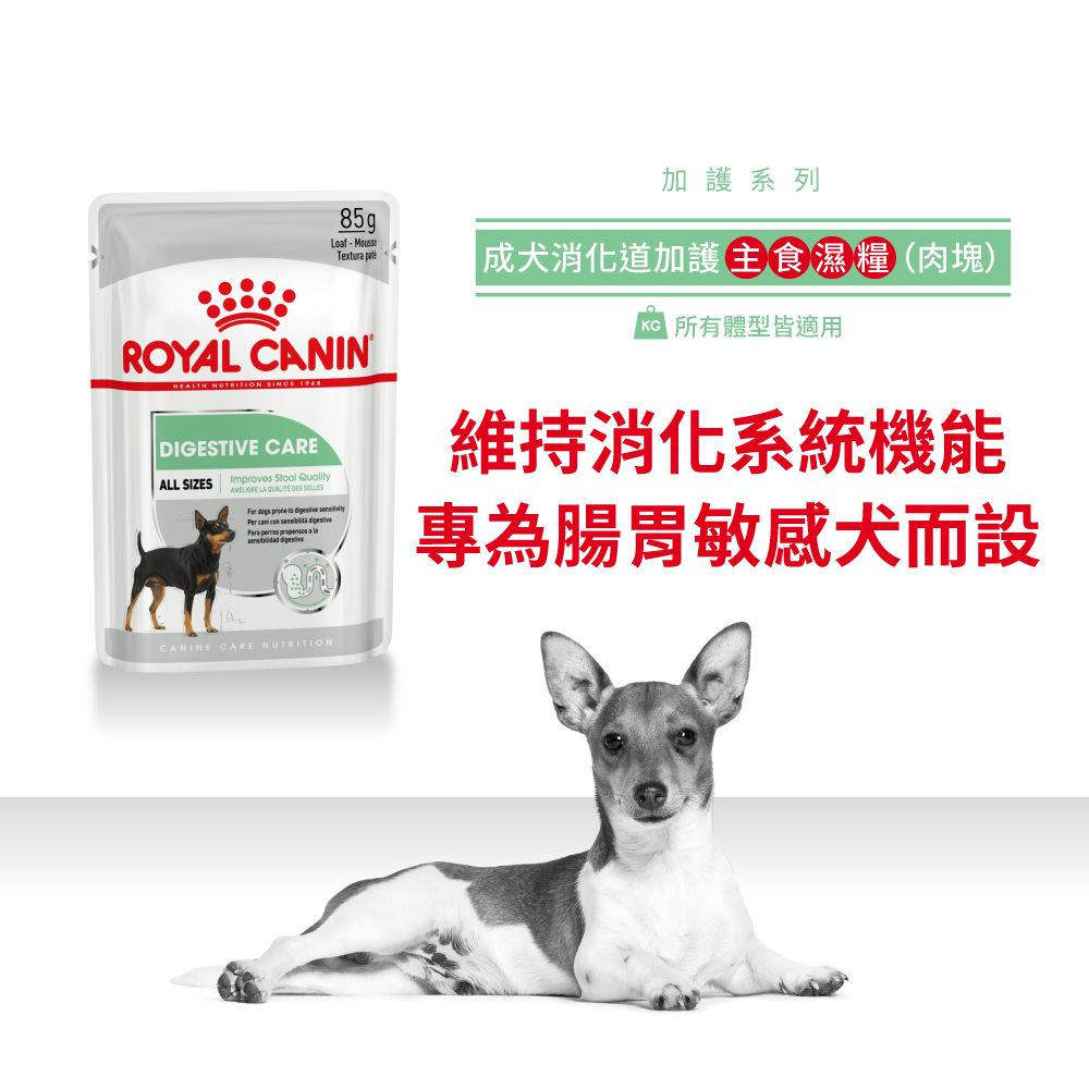 CCN 成犬消化道加護主食濕糧（肉塊）