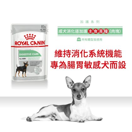 Royal-Canin_成犬消化道加護主食濕糧（肉塊）_正方形_HK_01