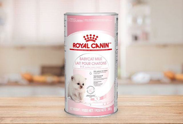 Royal Canin的幼貓奶粉