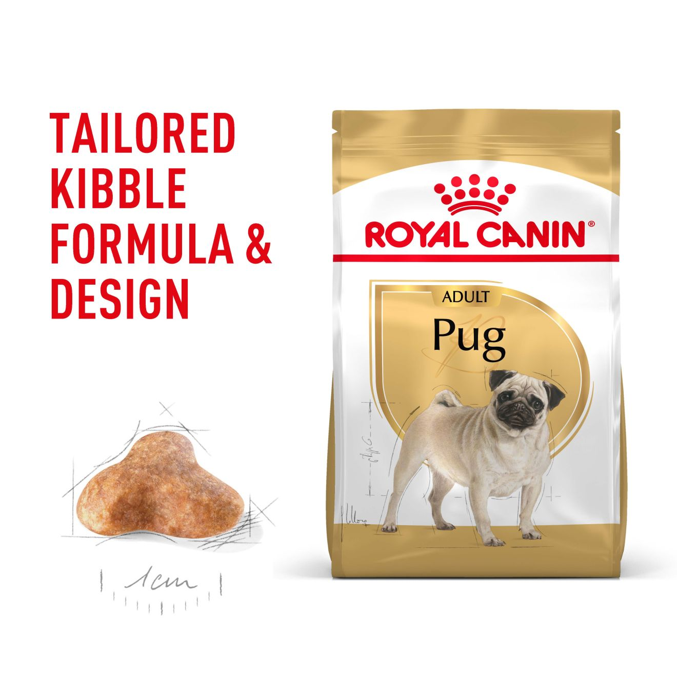 Pug Adult