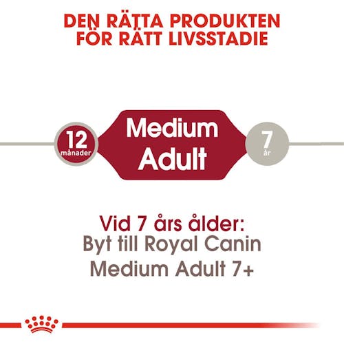 Medium Adult