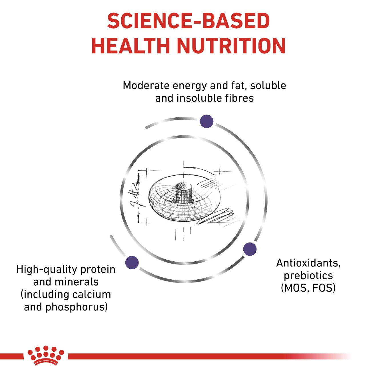 VHN Dog Neutered Junior Medium