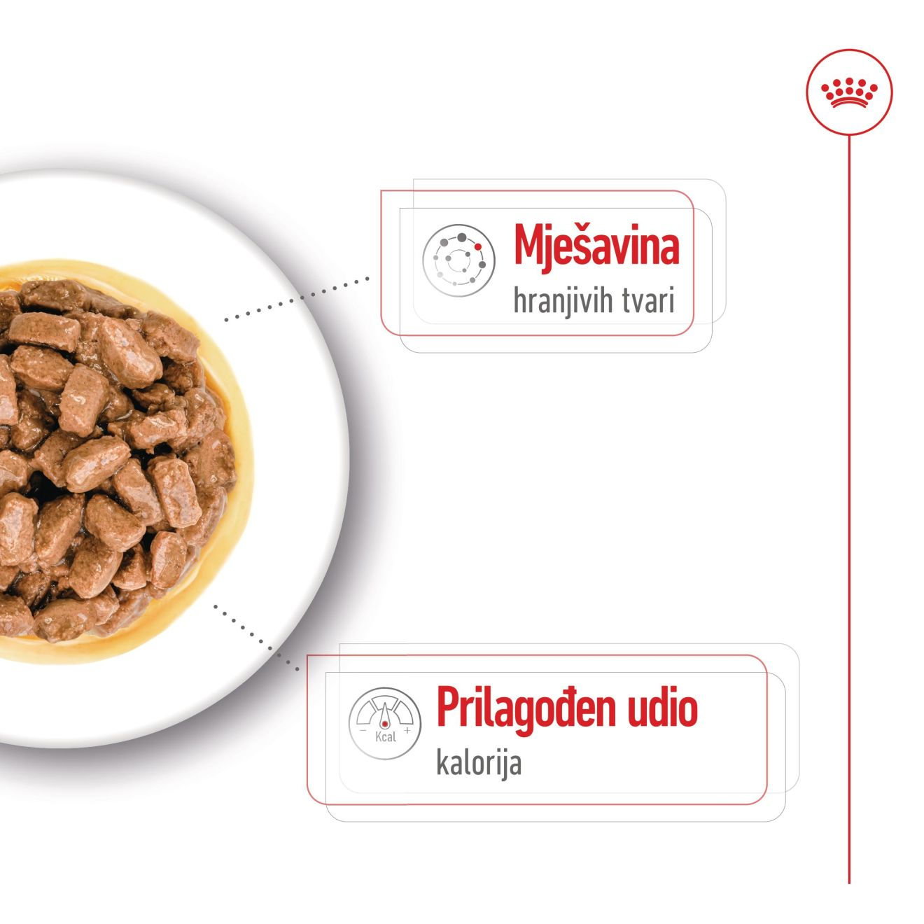 MINI AGEING - CHUNKS IN GRAVY