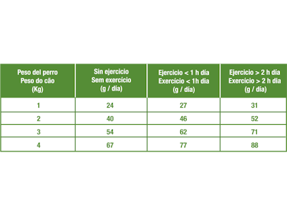 AR-L-Tabla-Racionamiento-X-Small-Adult-Size-Health-Nutrition-Seco