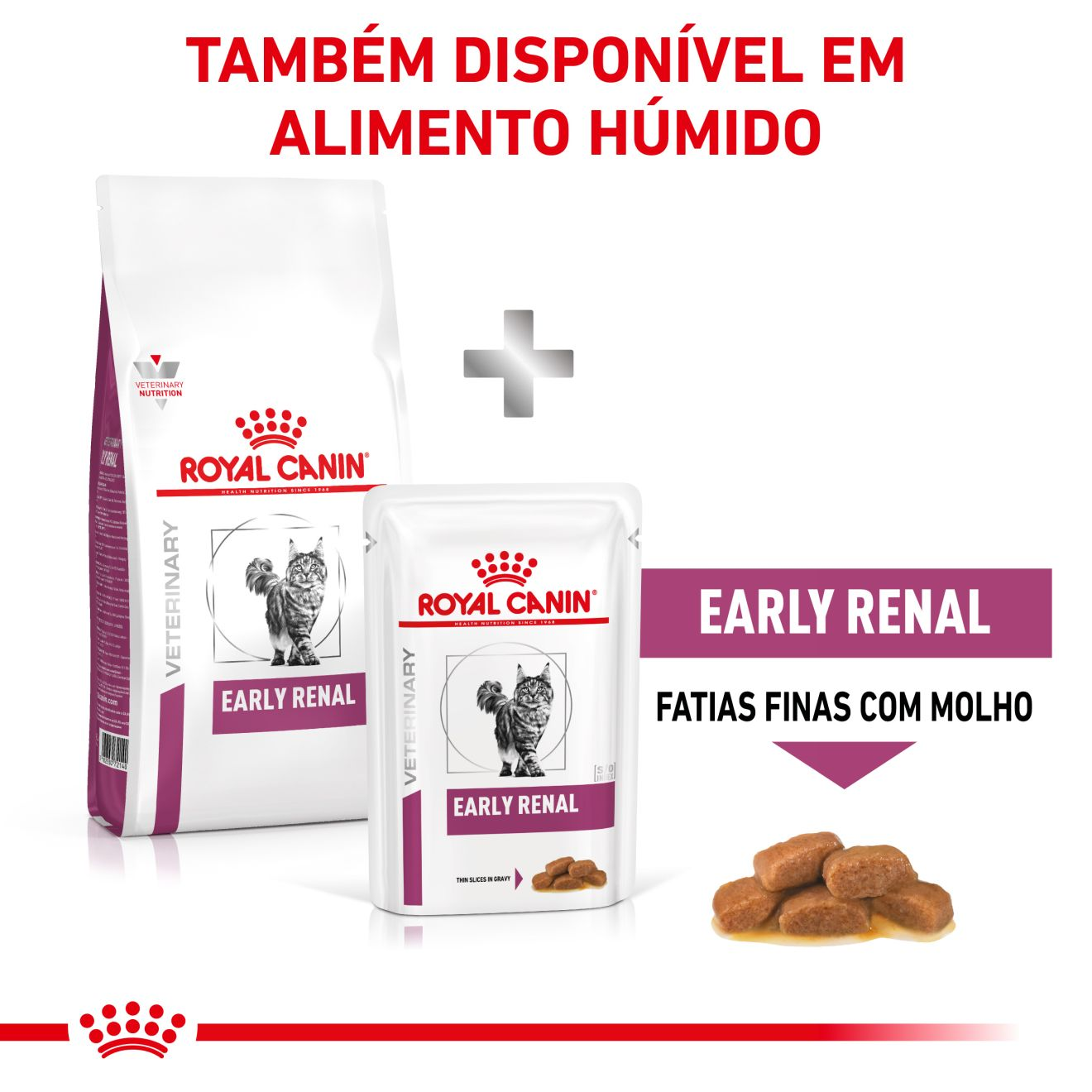 Early Renal