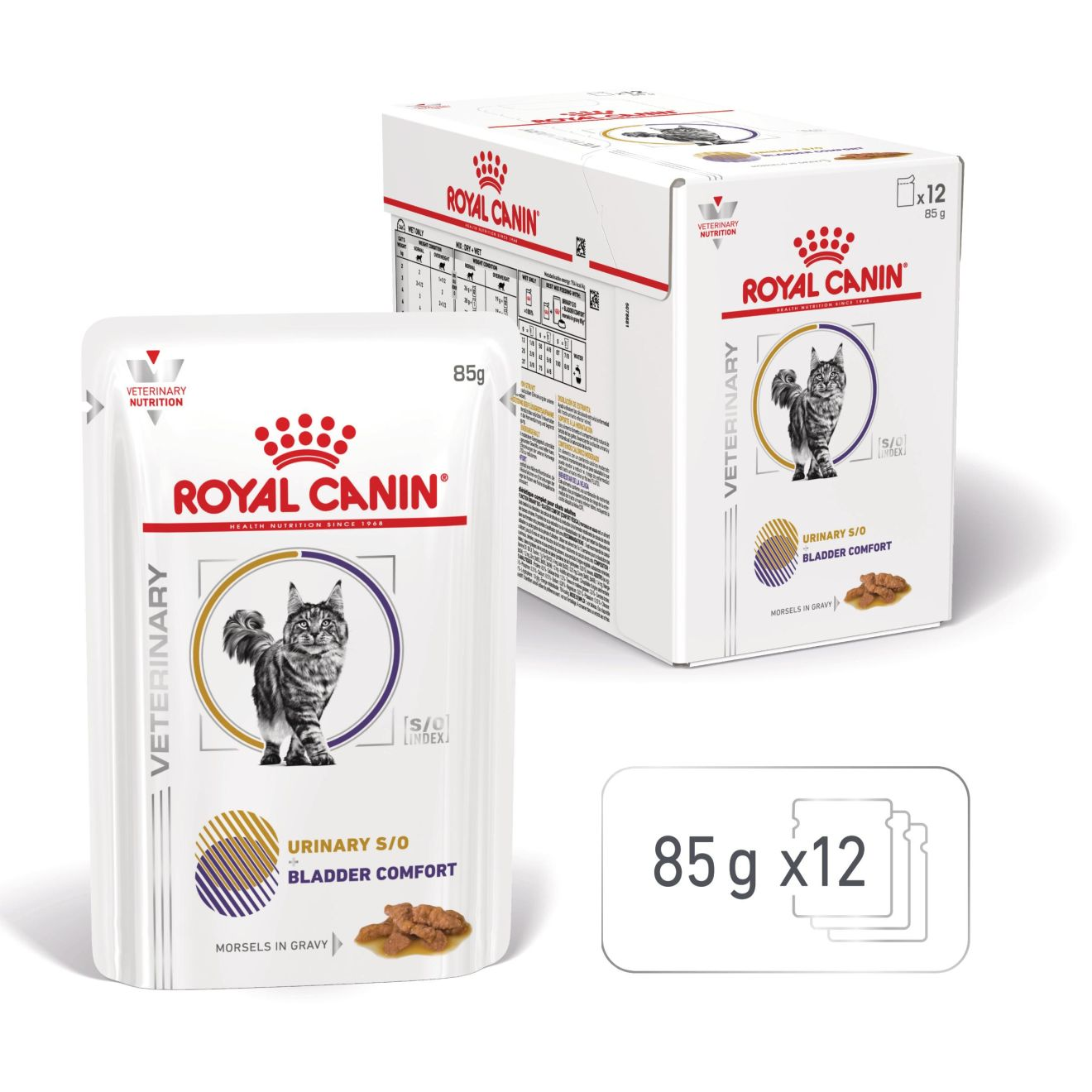 Urinary S/O + Bladder Comfort Chat