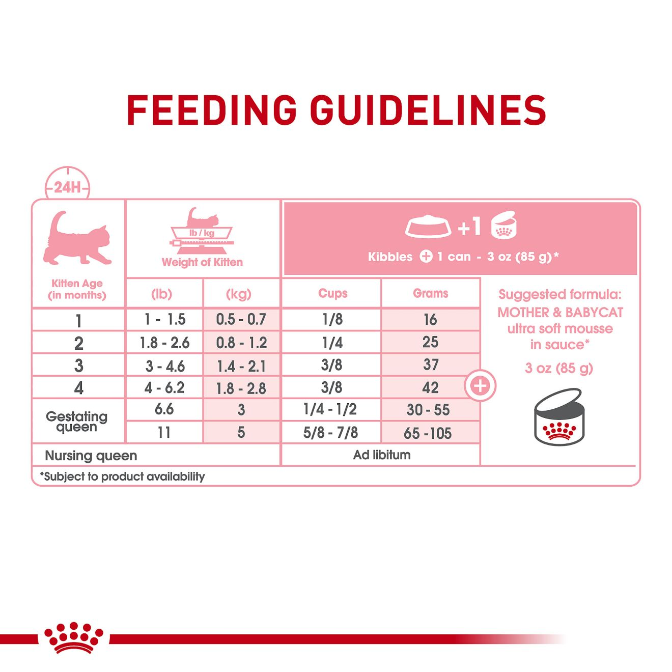 Kitten wet shop food feeding chart