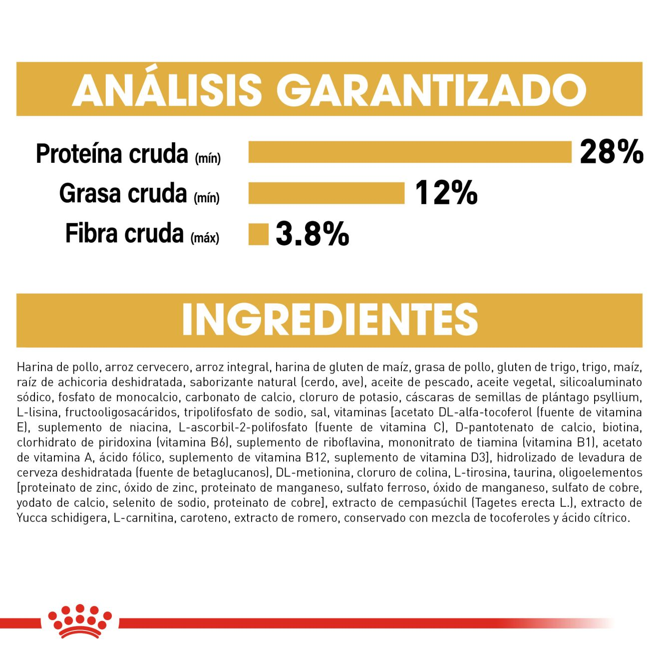 Schnauzer Miniatura Cachorro