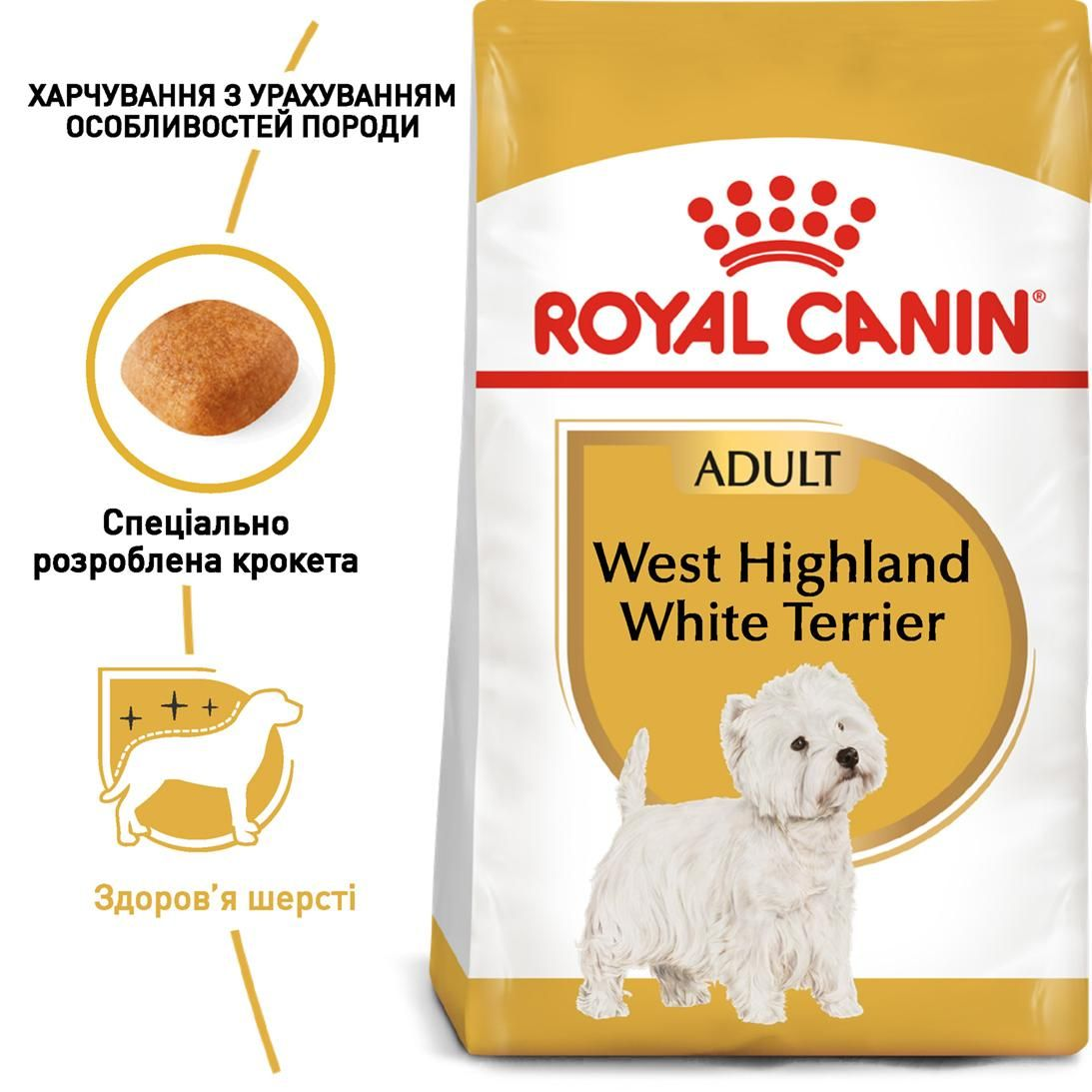 West Highland White Terrier Adult