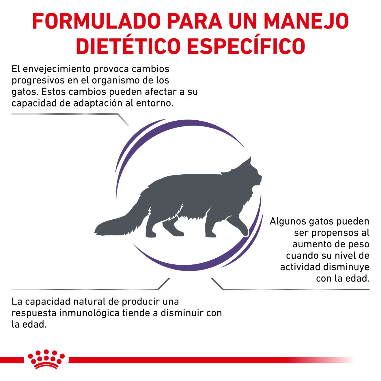 Mature Consult Balance