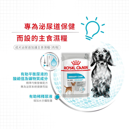 Royal-Canin_成犬泌尿道加護主食濕糧（肉塊）_正方形_HK_03